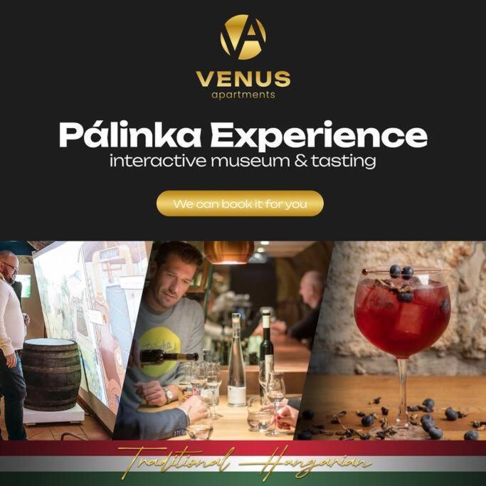 Venus Apartments - The Actor'S Den ブダペスト エクステリア 写真